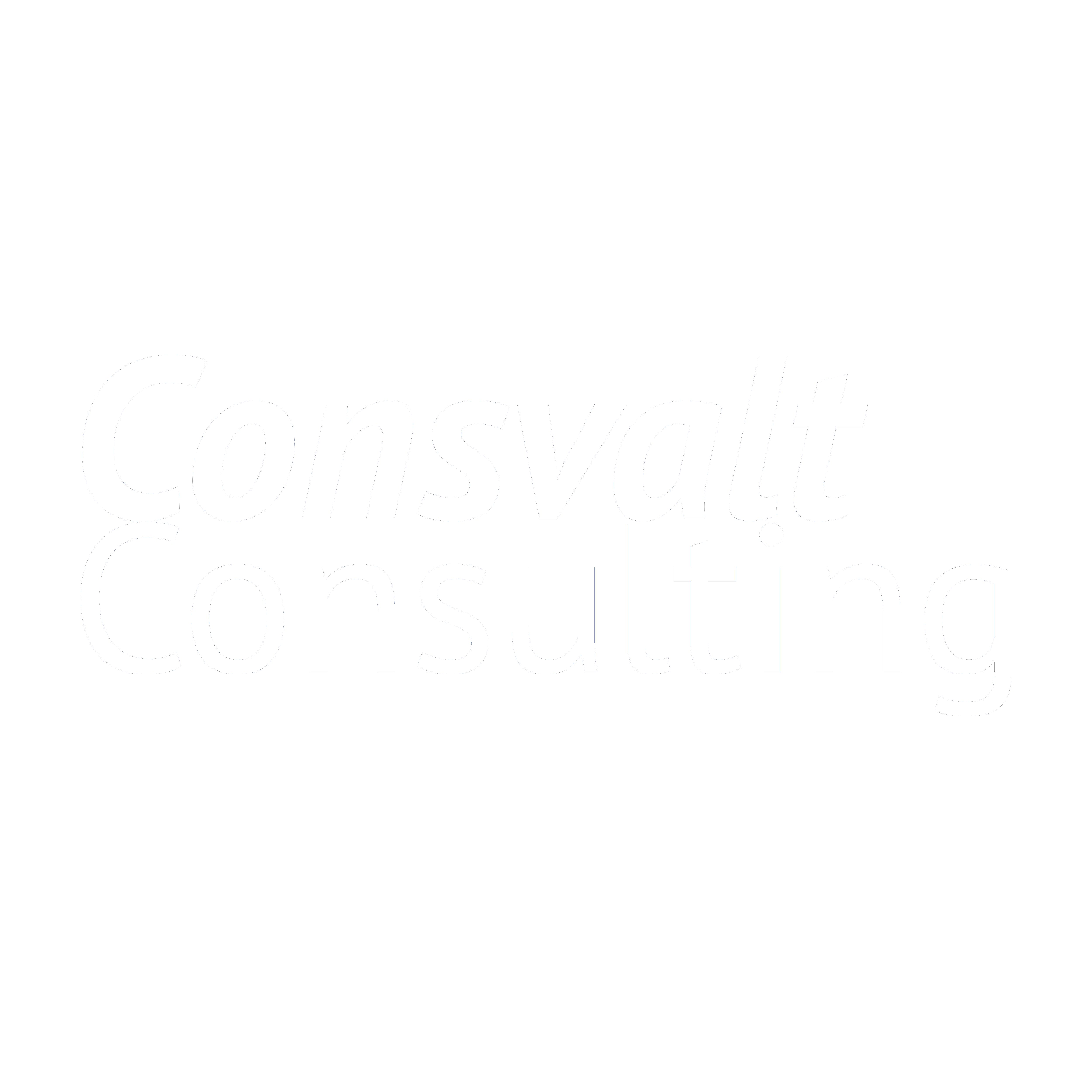 Consvalt Consulting